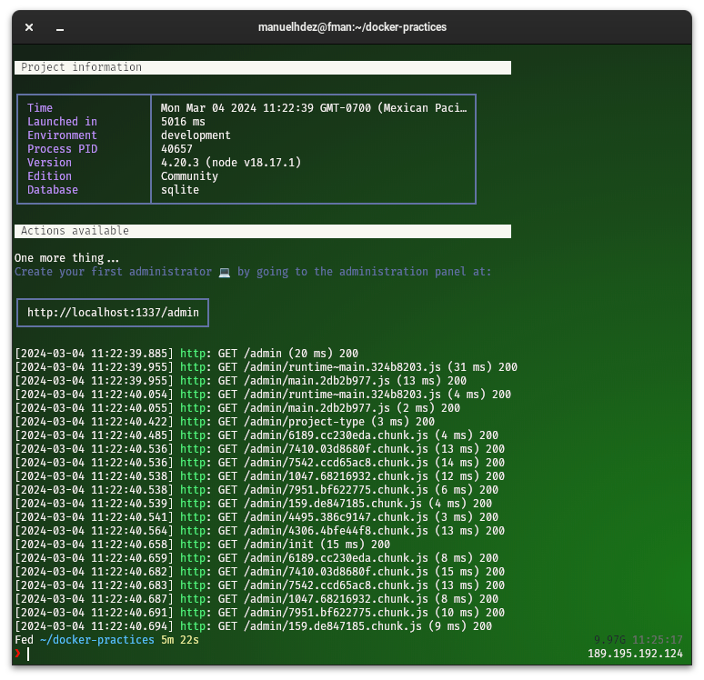 dockerizar strapi con postgres